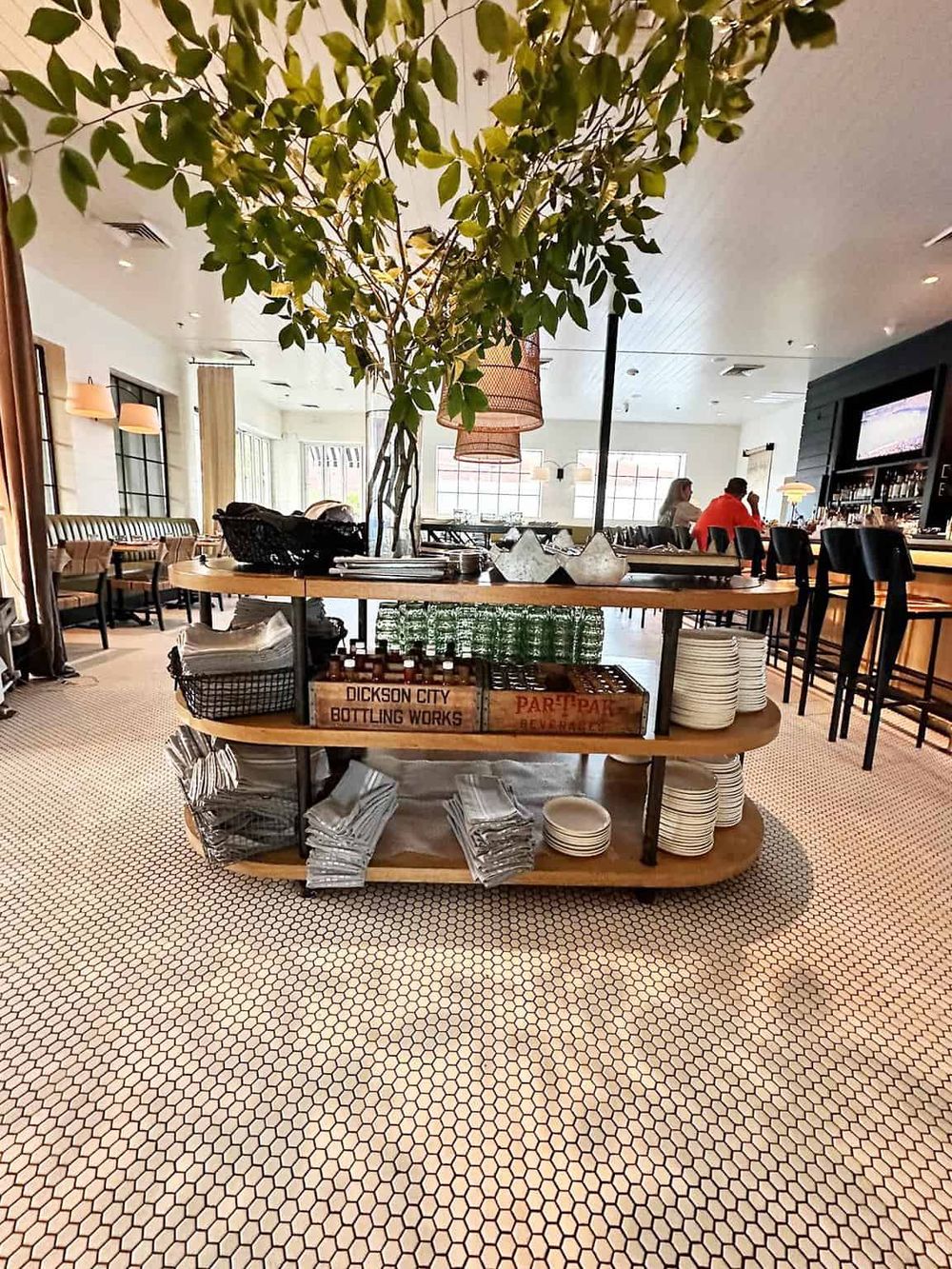 Lush green tree and modern restaurant interior with cozy seating and decorative lighting.