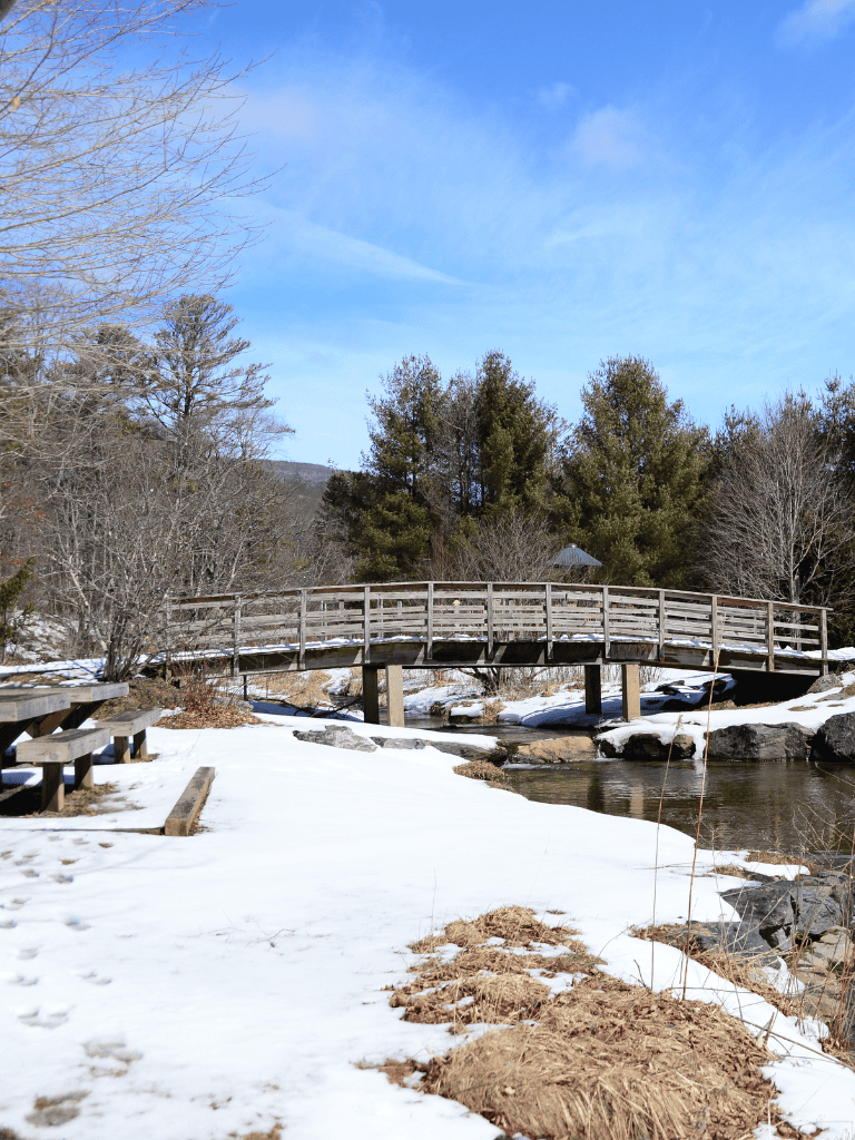 Wooden footbridge over a river in a snowy landscape with trees and blue sky.