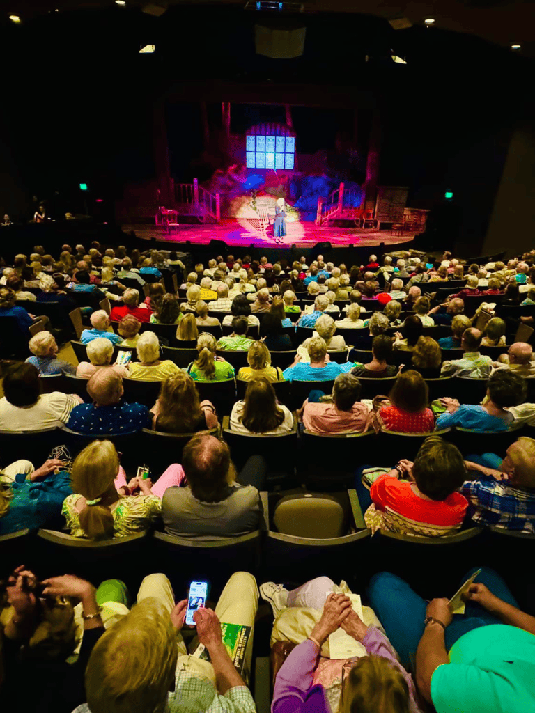 Audience watching a live theatrical performance at QuestForDirections theater.