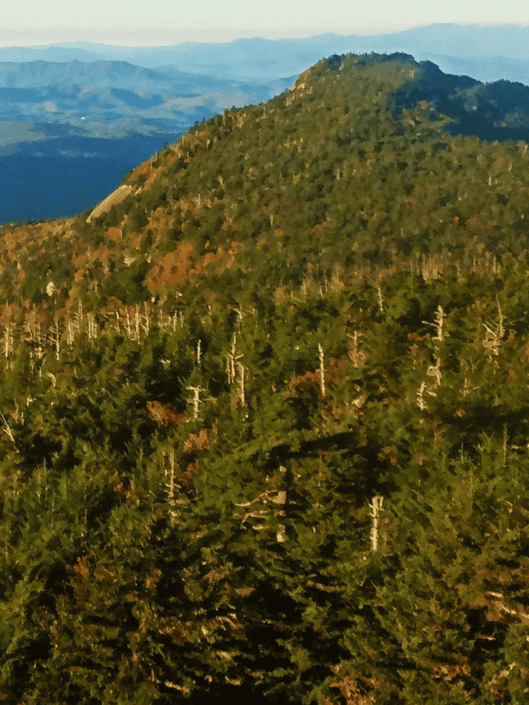 Vast green mountain landscape with dense forest and distant mountain peaks, scenic outdoor adventure destination.