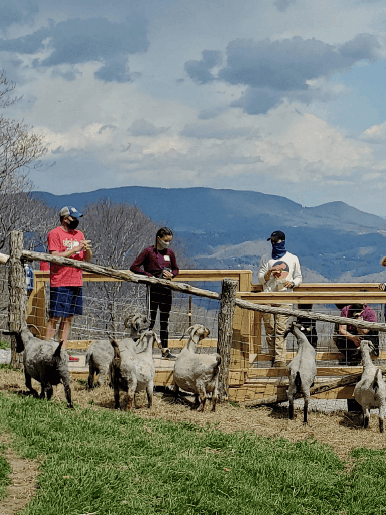 - Handled goats at QuestForDirections outdoor farm experience for kids and families.