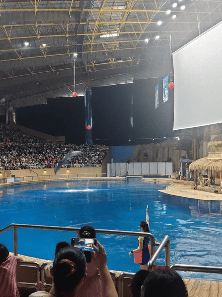 Dolphins performing at an indoor aquatic show with an audience present.