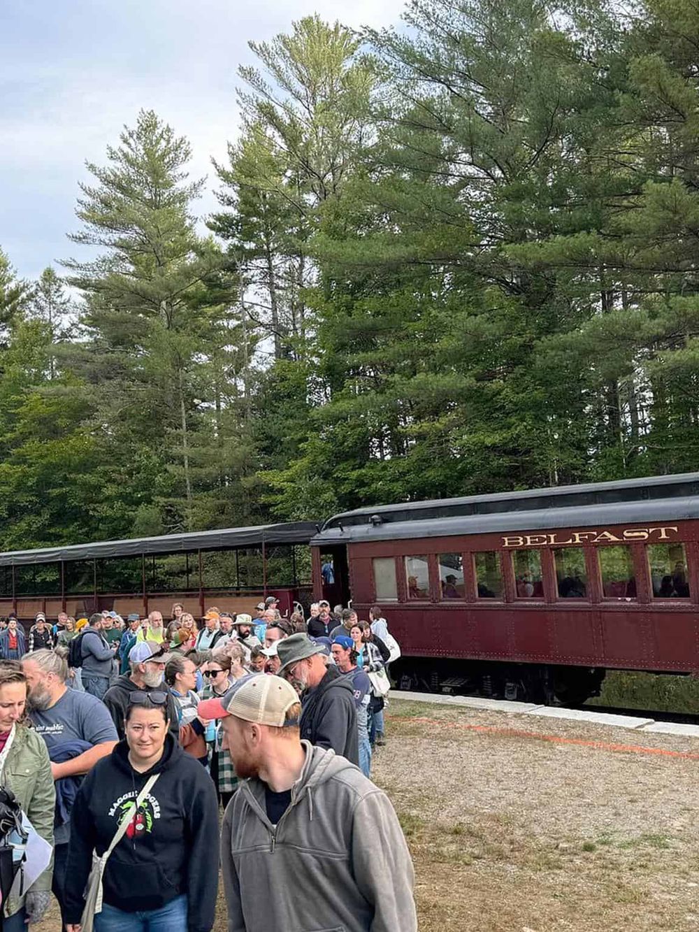 Vintage train at departure point in a forested area, popular for scenic rail journeys and outdoor adventures.