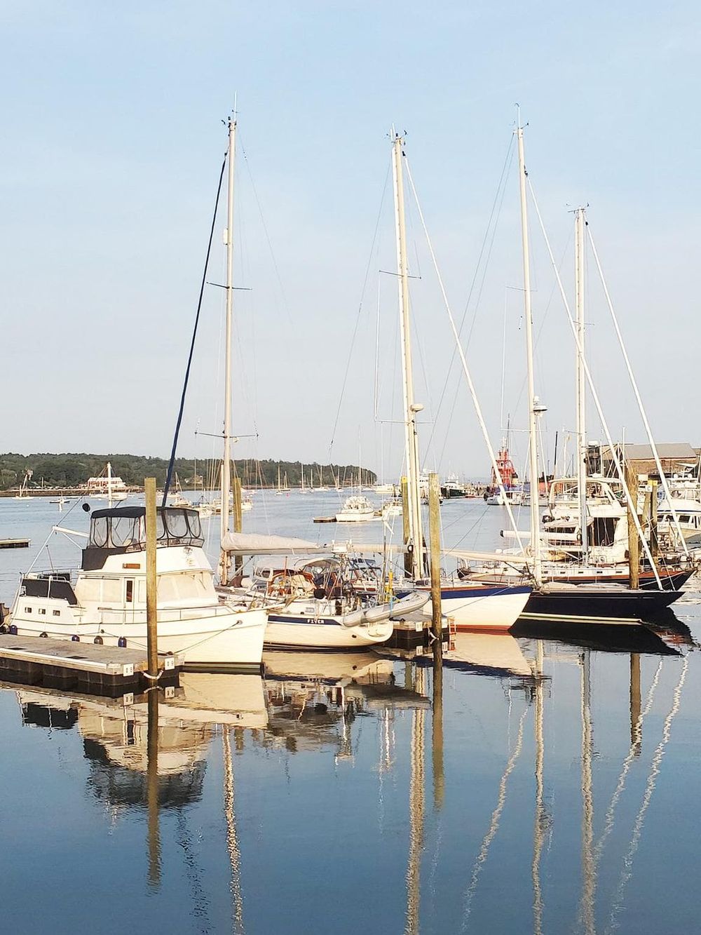 Boats docked at marina, calm water, scenic harbor, sailing, yacht, maritime, navigation, vacation, travel, Odysseys, QuestForDirections.