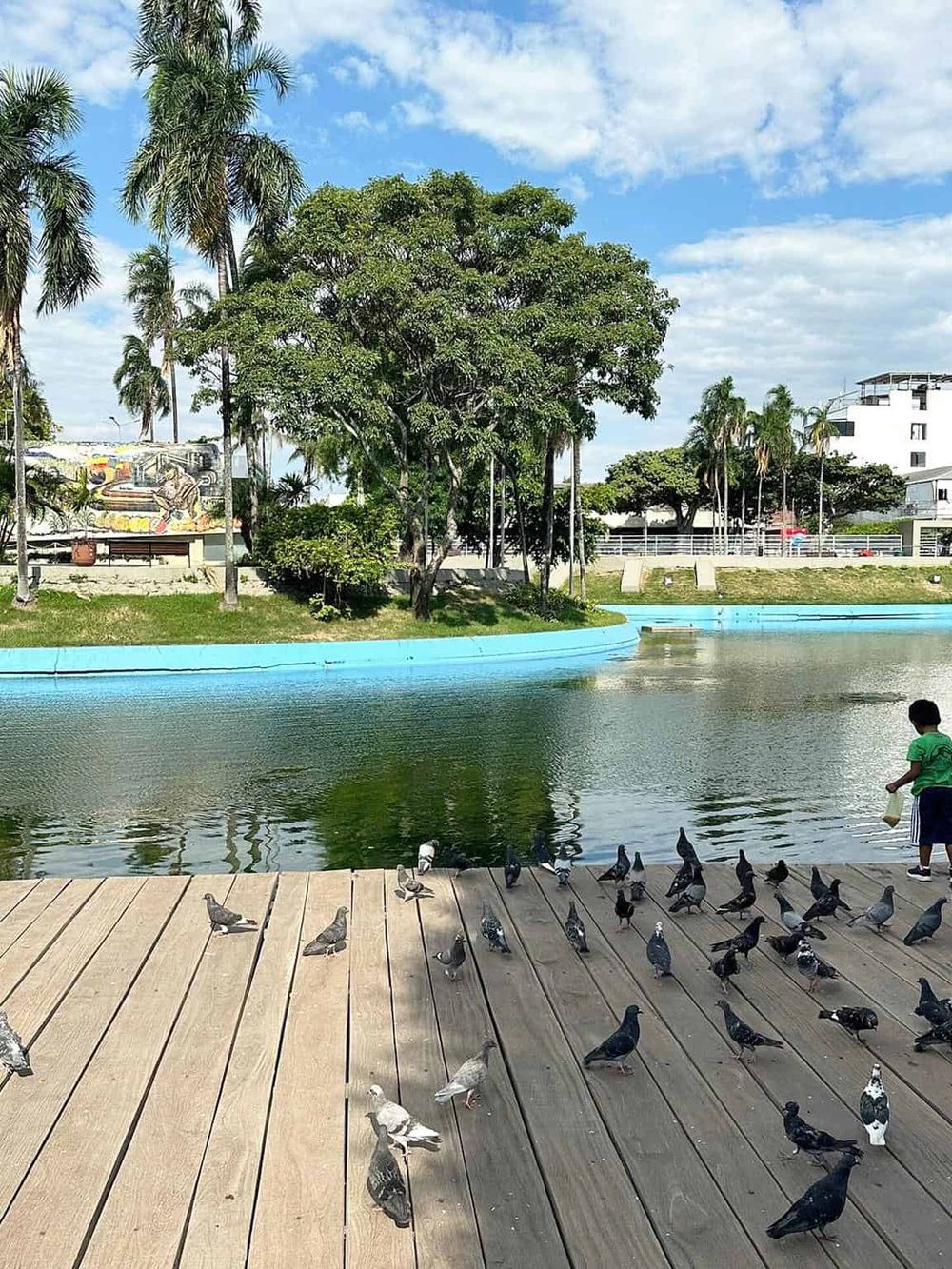 Birds feeding by the water at QuestForDirections park, showcasing outdoor activities and natural beauty in a scenic setting.