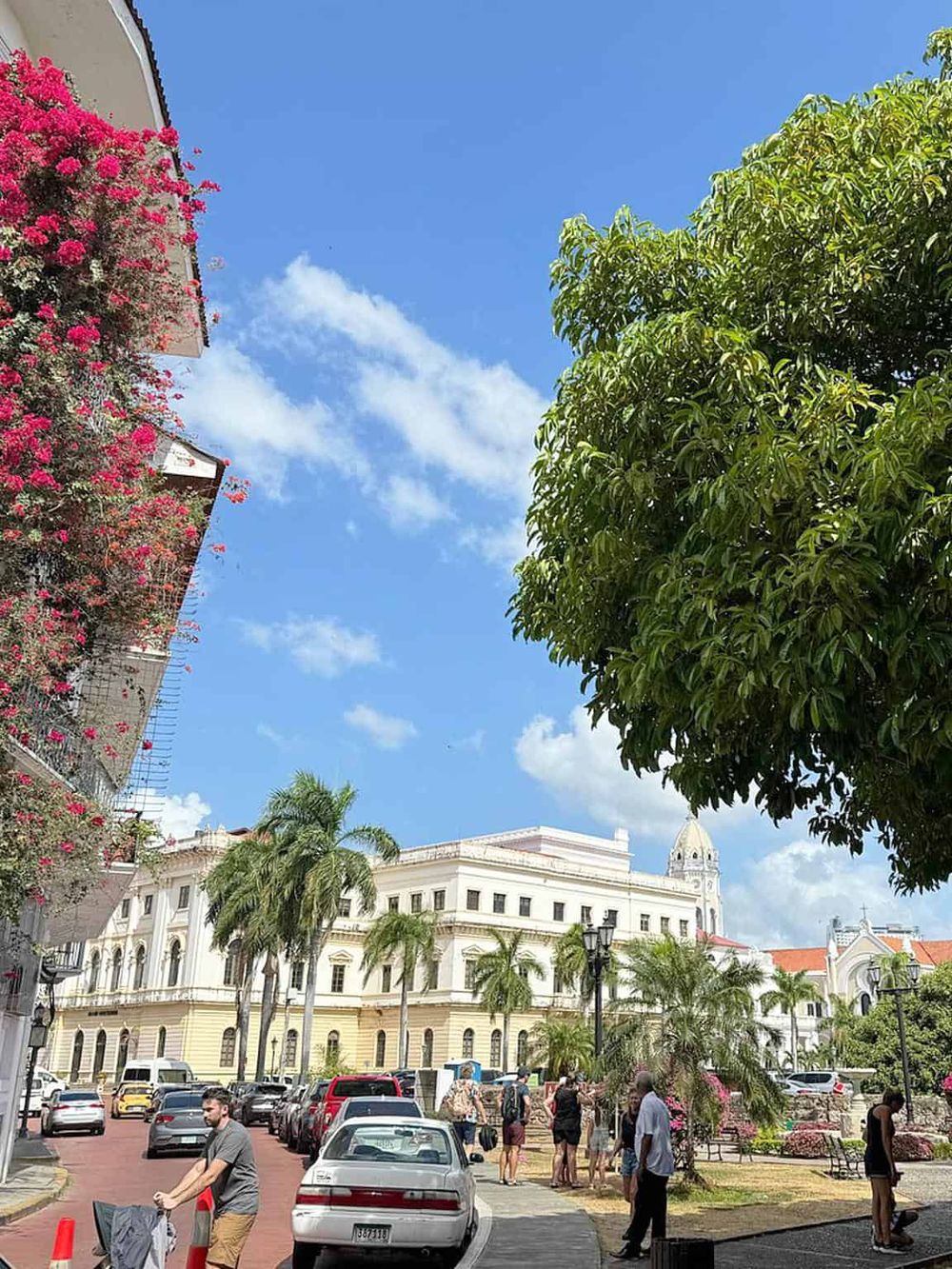 Bright sunny day in downtown with historical buildings, lush green trees, and people exploring the city.