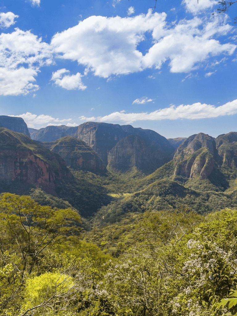 Vast canyon view with lush green forest and towering mountains under a bright blue sky with clouds.