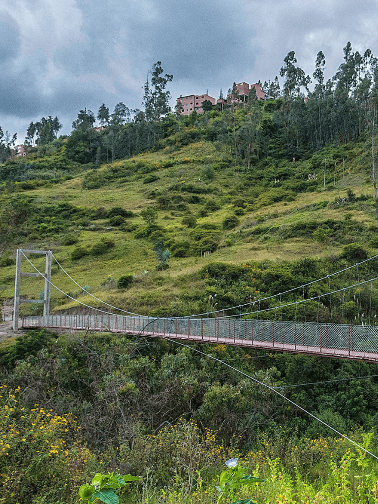 Suspension bridge over lush green hillside landscape with residential buildings at top.