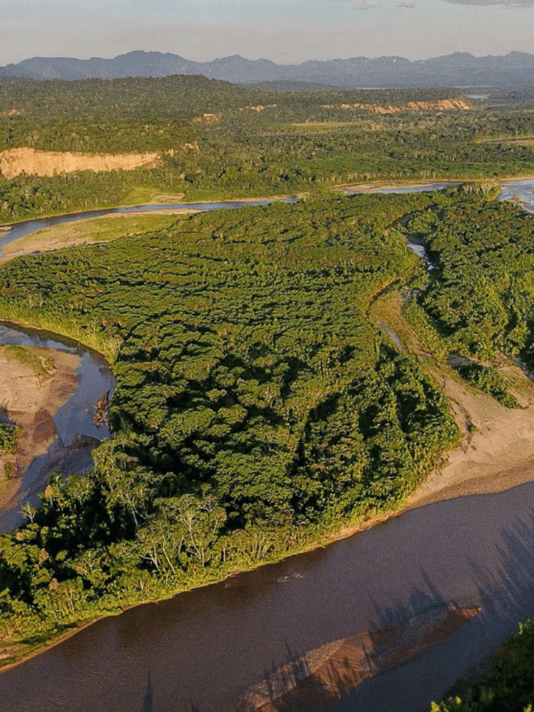 Lush green river landscape with winding waterways and dense jungle terrain.
