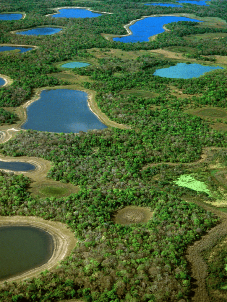 Serene lake landscape with lush greenery and multiple water bodies for outdoor exploration.