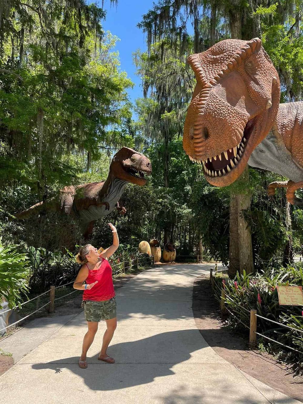 Dinosaurs at Quest for Directions theme park, realistic dinosaur sculptures in lush forest setting.