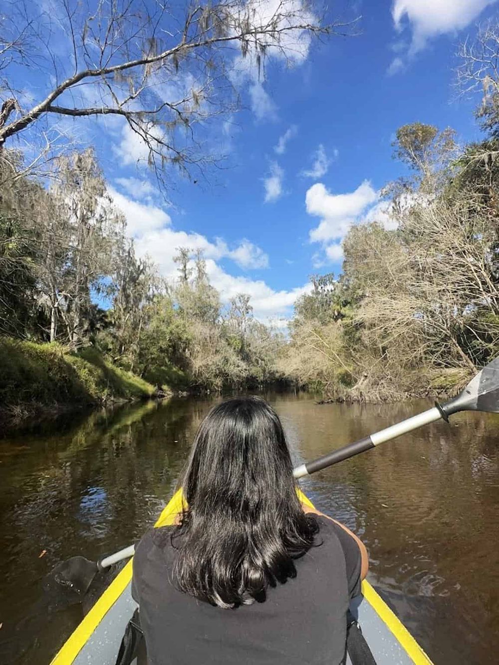Serene river kayaking adventure in nature with lush trees and blue sky.