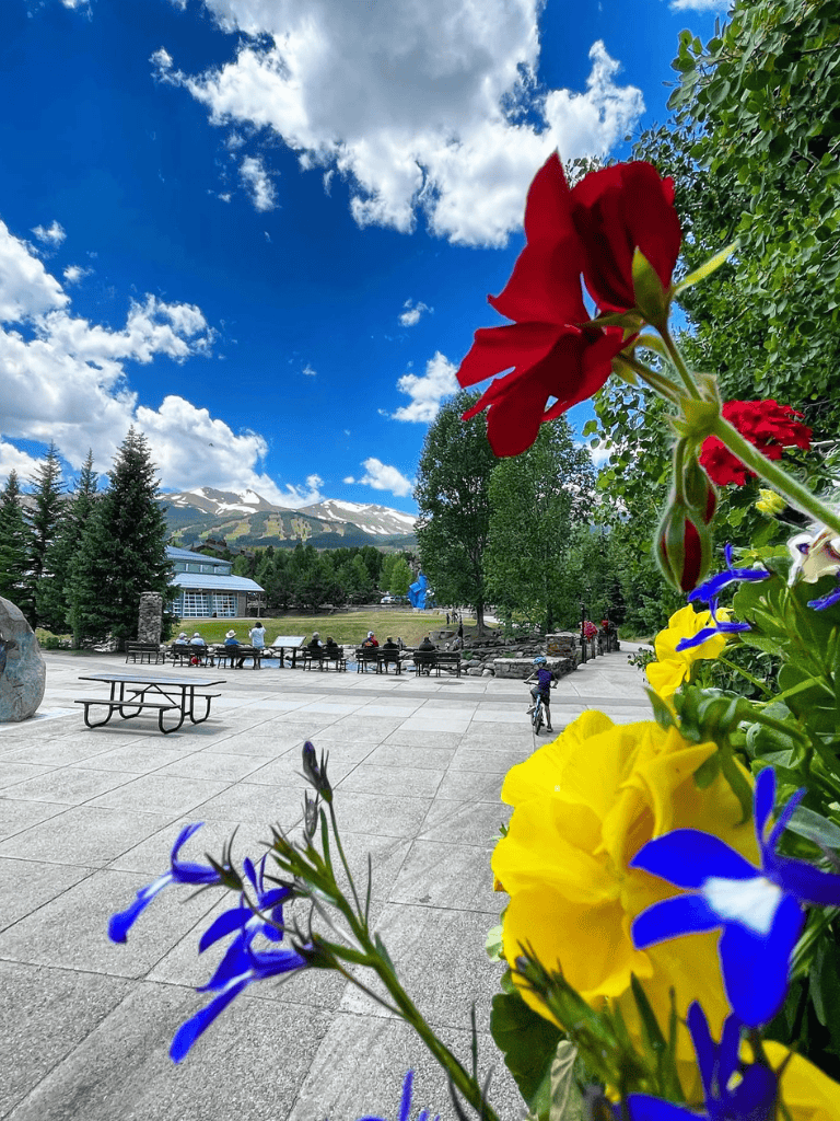 Bright mountain park with flowers, sky, and visitors enjoying outdoor scenery at QuestForDirections.
