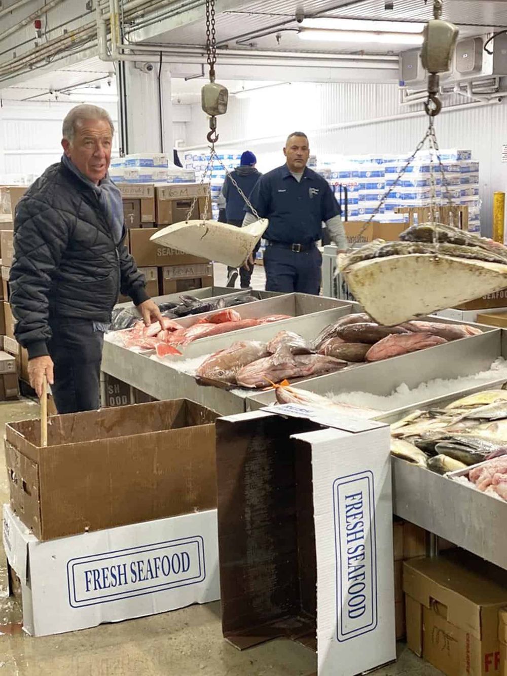 Fresh seafood market at QuestForDirections fish store, seafood shopping, fresh fish and shellfish selection.