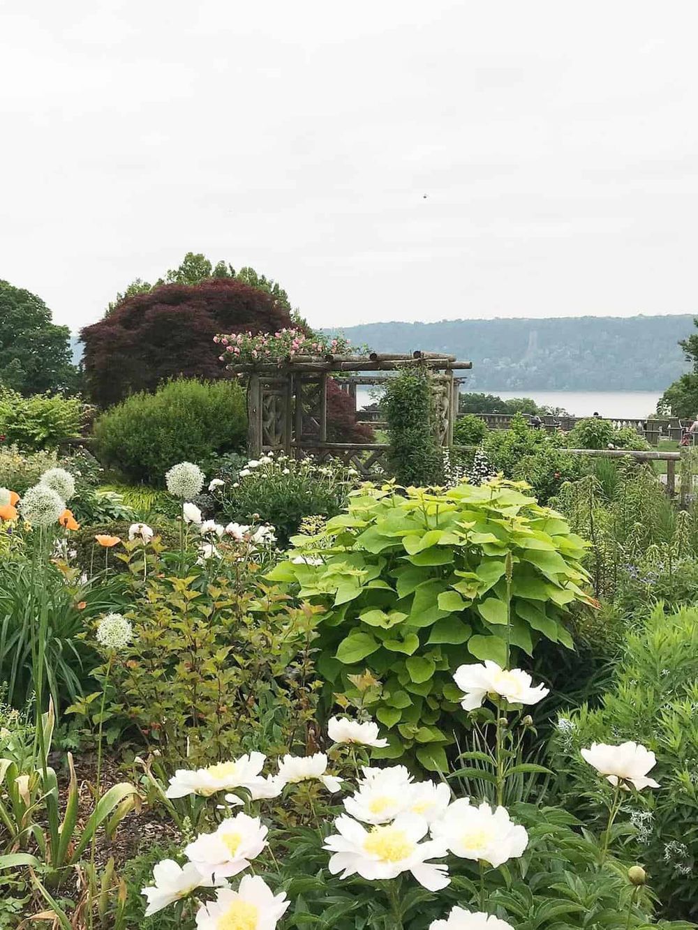 Colorful garden with lush greenery and a scenic view of a lake and distant hills. Ideal for outdoor exploration and peaceful retreats.