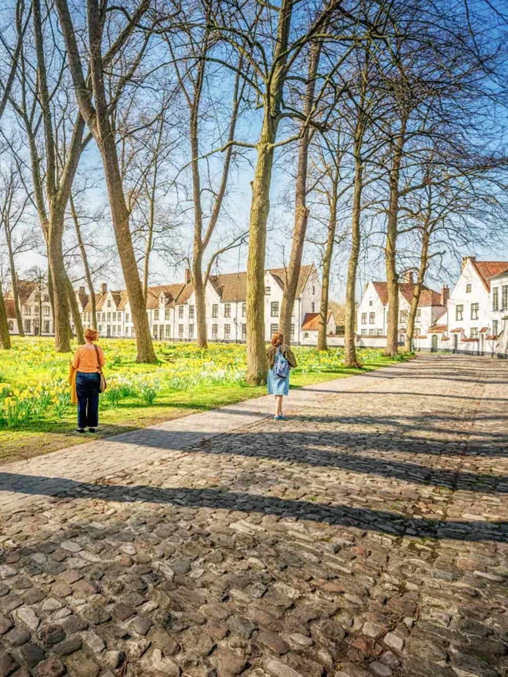 Historic European town square with cobblestone streets, trees, and white cottages, perfect for travel and exploration.