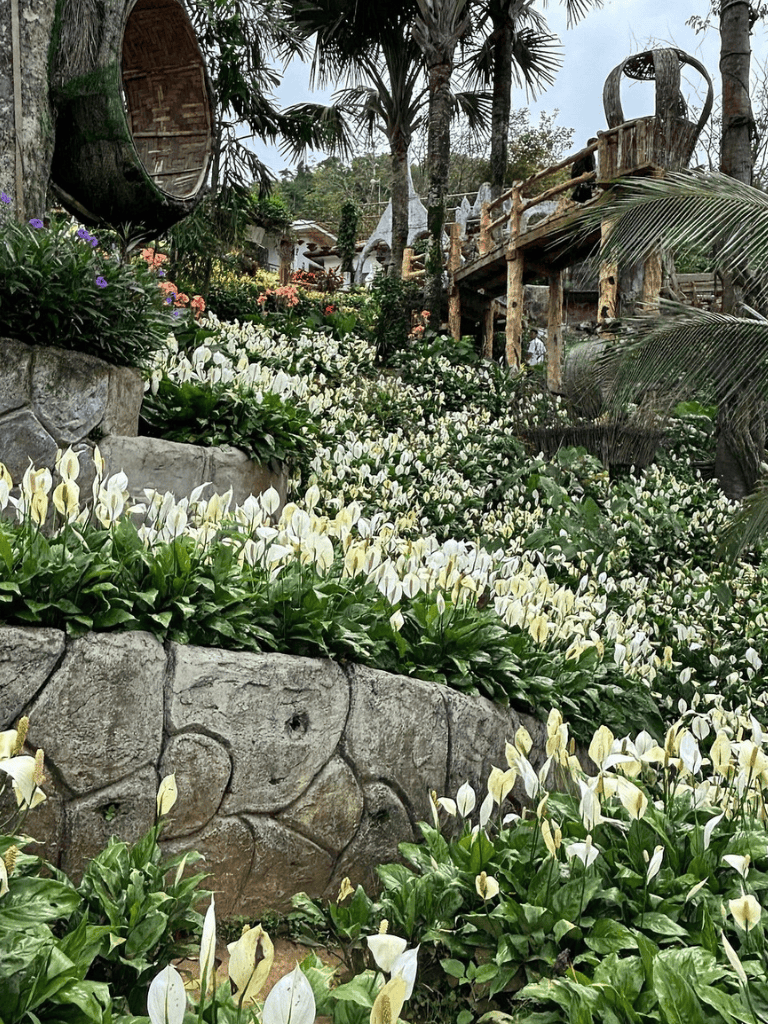 Lush garden with white flowers and wooden structure, jungle-themed adventure at QuestForDirections.