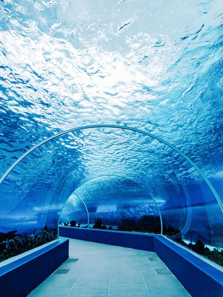 Underwater tunnel with ocean view during daytime, marine life, clear blue water, scenic maritime experience.