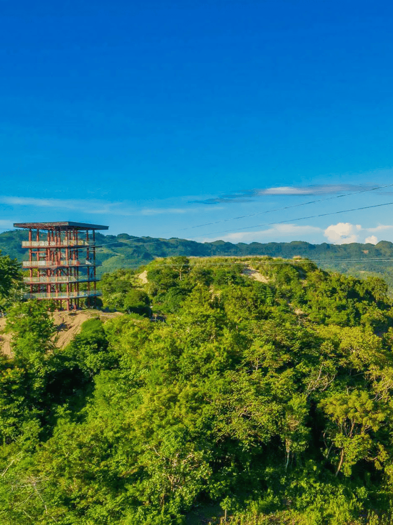 Lush green jungle with a partially constructed building on a hill under a blue sky.