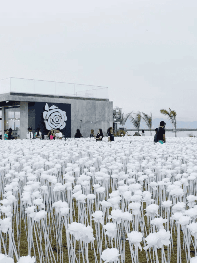 White floral art installation at QuestForDirections rooftop venue, featuring modern design and scenic ocean views.