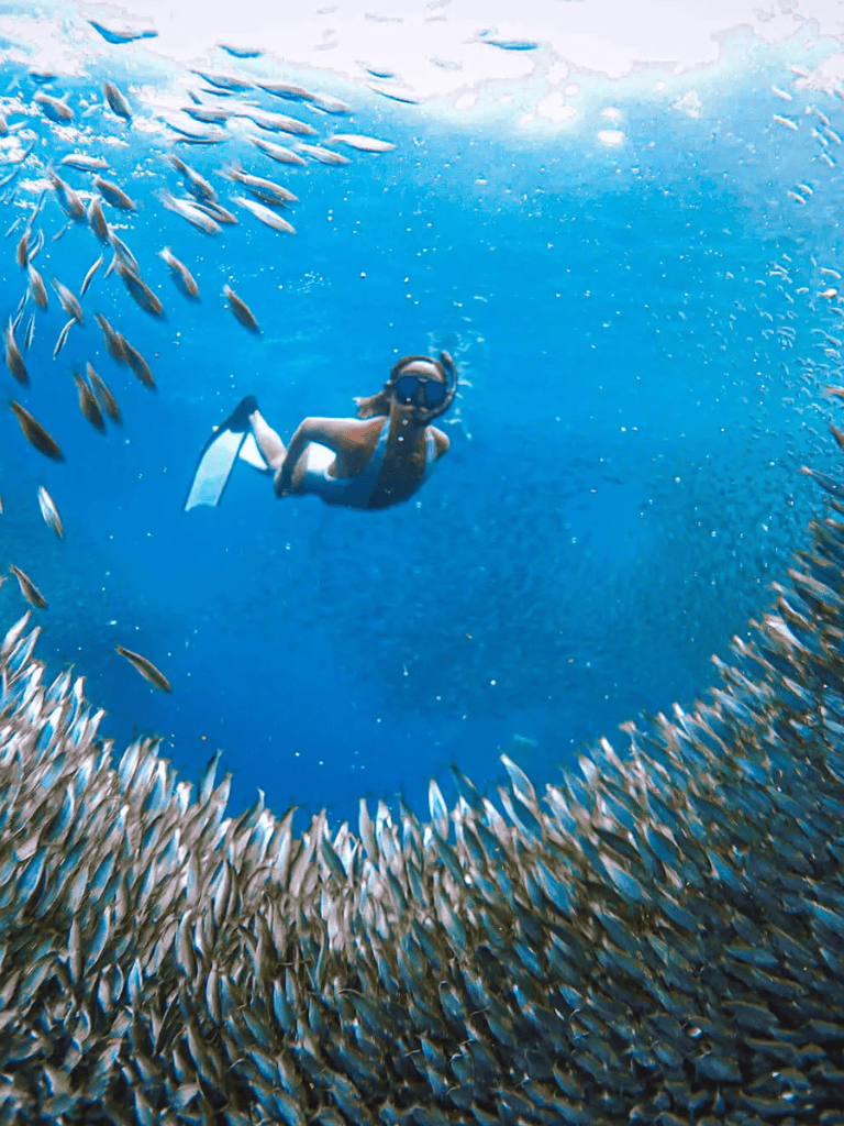 1. Scuba diver exploring vibrant coral reef surrounded by school of fish in clear blue ocean.