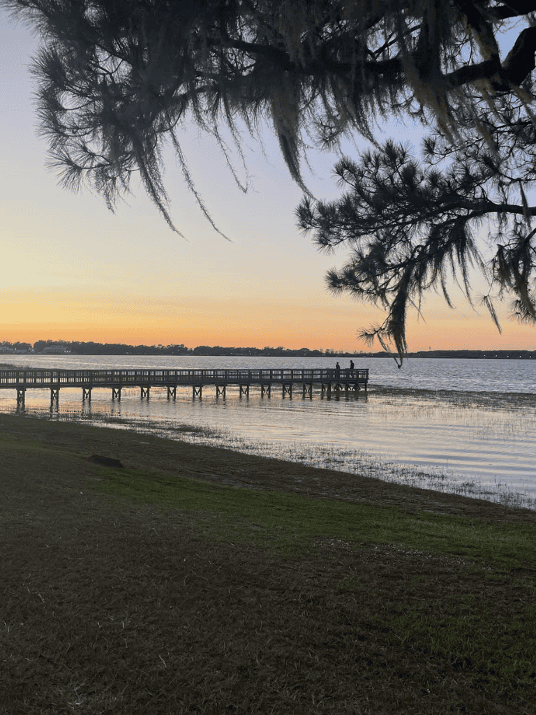 A tranquil lakeside scene at sunset with a wooden pier and overhanging pine branches, perfect for outdoor relaxation.