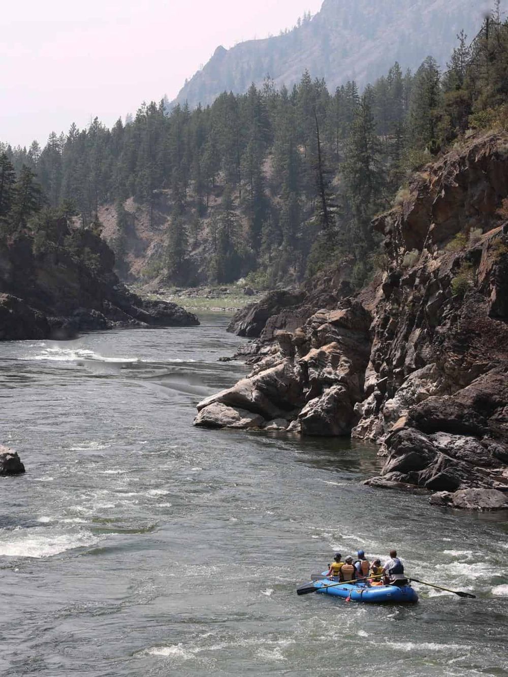 Adventure rafting on a scenic river surrounded by mountains and dense pine forests for outdoor enthusiasts.