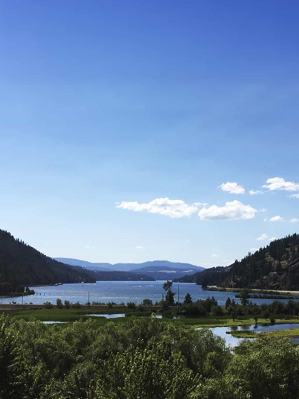 Vibrant river landscape with lush greenery and blue sky, ideal for outdoor adventures and nature exploration.