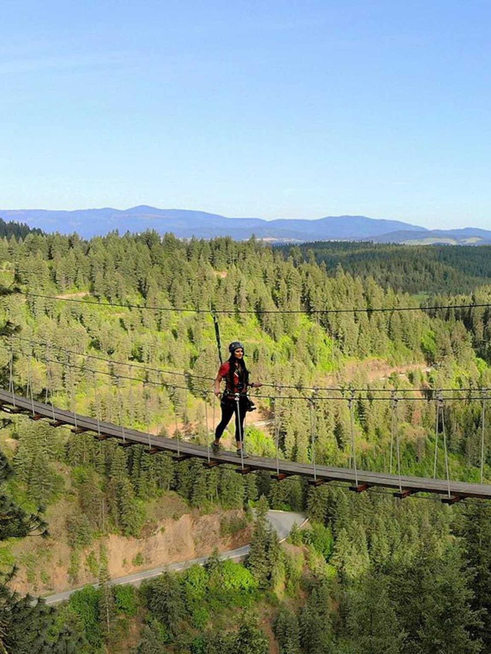Suspended bridge adventure amidst lush green forest with mountain views.