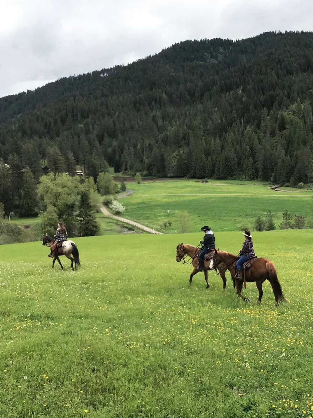 Tranquil countryside with horseback riders exploring lush green fields and forested mountains in the background.
