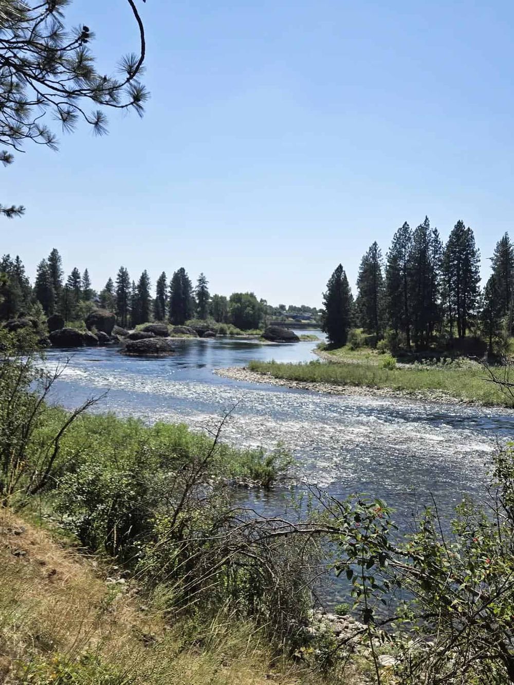 Serene river flowing through lush forested landscape with clear blue sky.