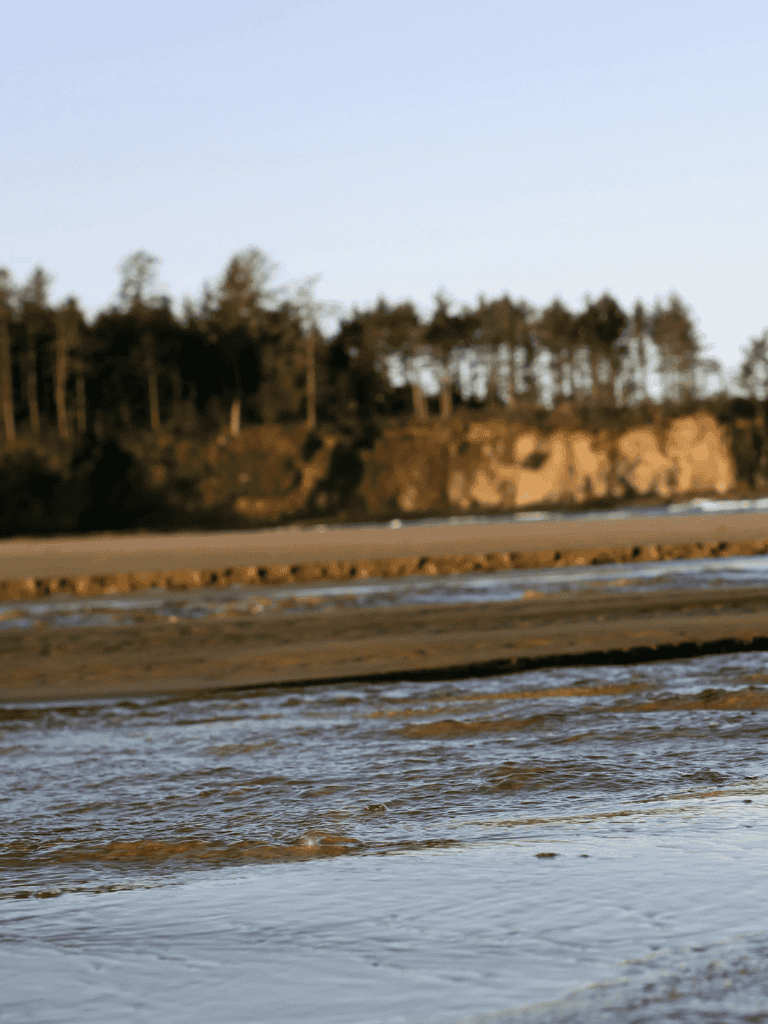 Seaside coastline with sandy beach and cliffs, scenic ocean view, perfect for travel and nature photography.