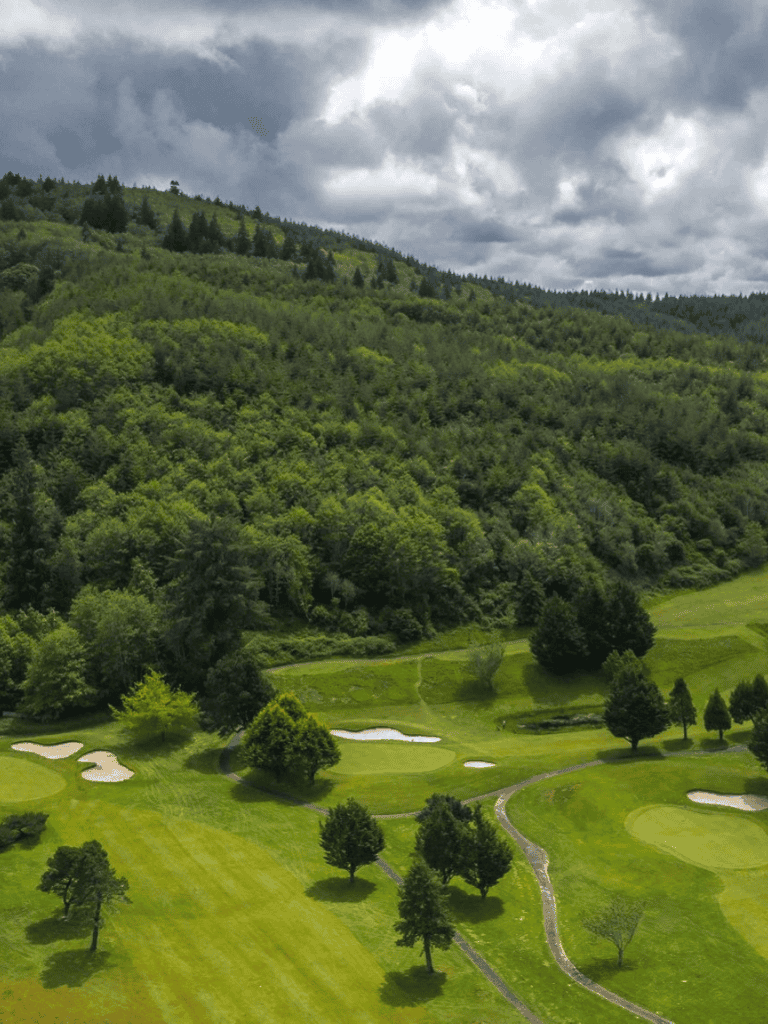1. Lush green golf course with surrounding forest and cloudy sky.