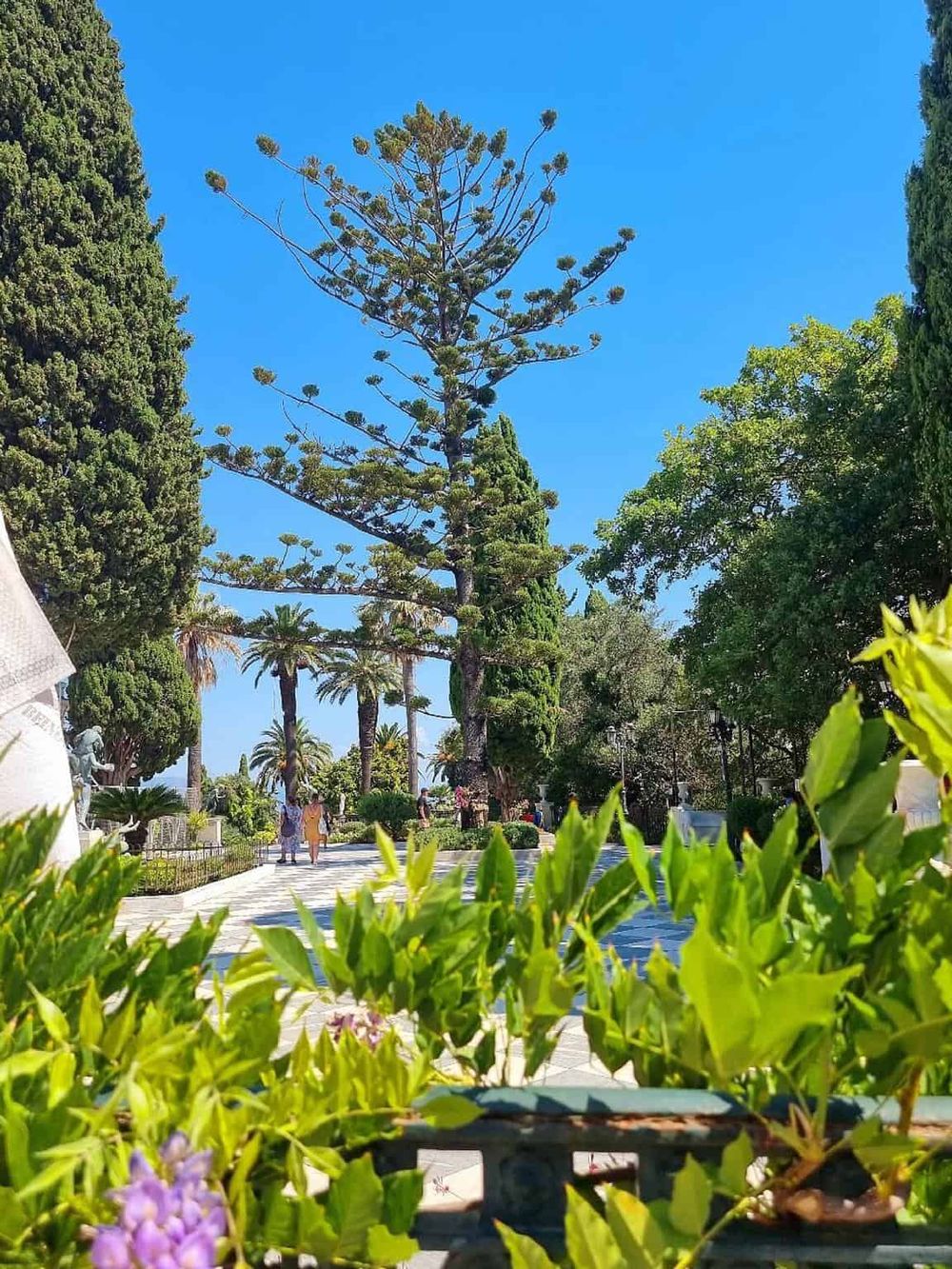Vibrant park scene with lush greenery and tall trees under a clear blue sky.