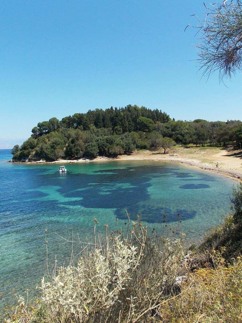 Pristine coastal cove with clear turquoise waters, lush green trees, and a sandy beach, perfect for outdoor adventures and nature exploration.