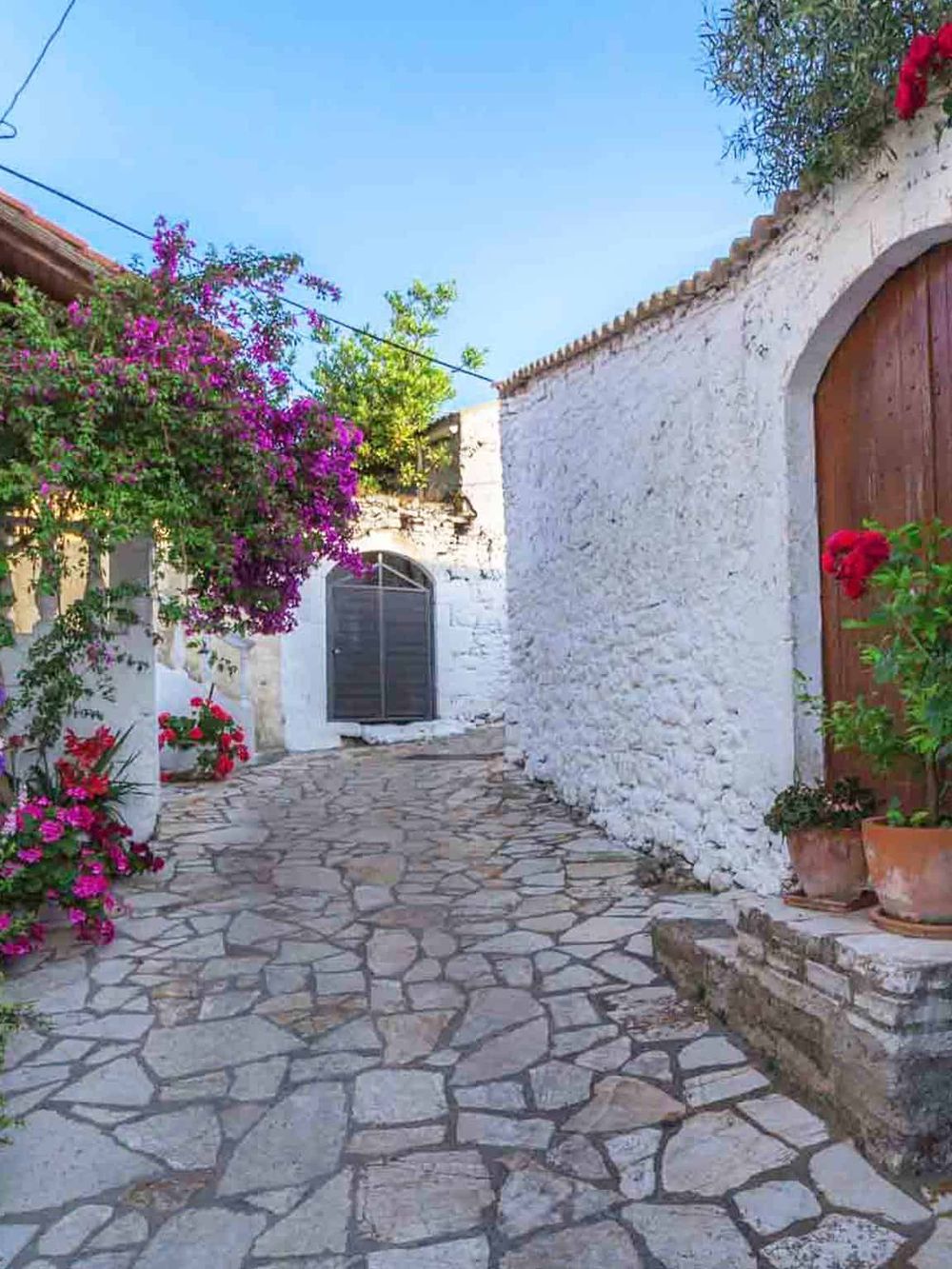 Colorful Mediterranean alley with whitewashed walls, flowering plants, and cobblestone path.