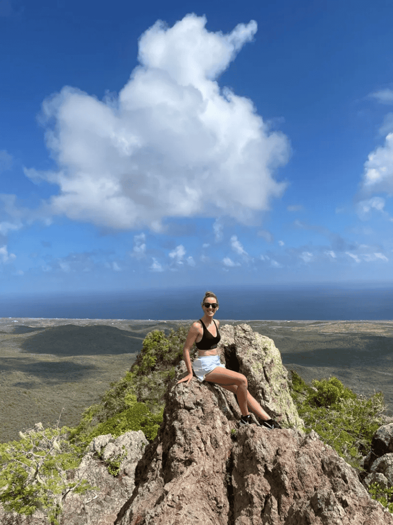 A woman sitting on a rocky mountain peak with scenic landscape and ocean view, symbolizing adventure and outdoor exploration.