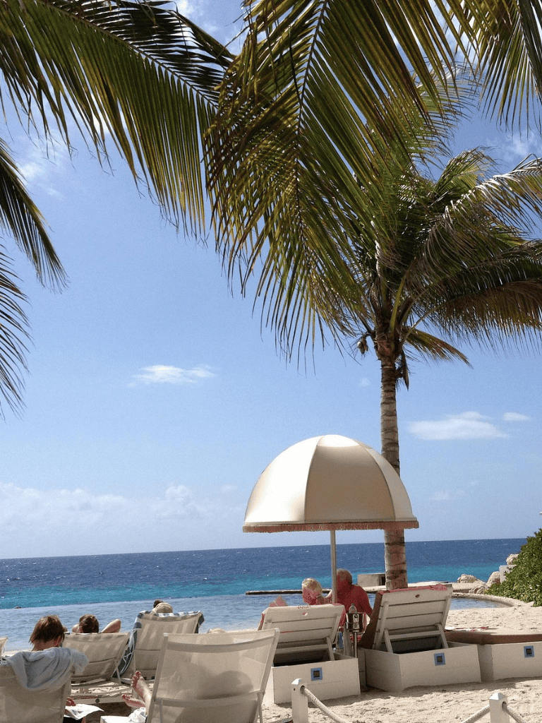 1. Beachside lounge chairs under palm trees at tropical seaside resort.