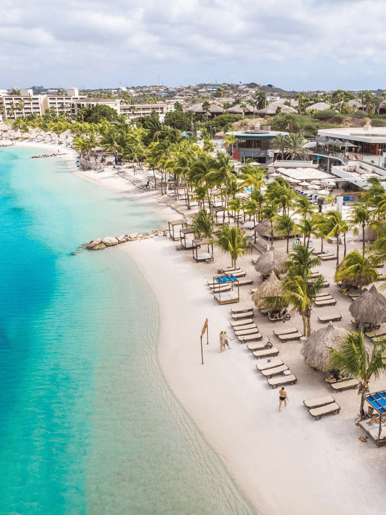 Stunning tropical beach with palm trees, sun loungers, and clear turquoise waters at QuestForDirections.