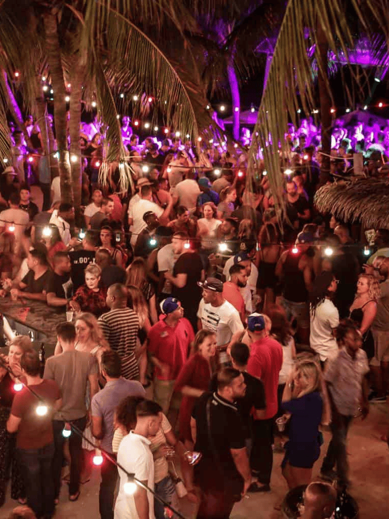 Nighttime tropical outdoor party with string lights, palm trees, and a lively crowd of people enjoying music and drinks.
