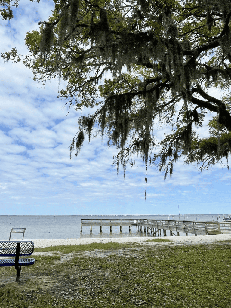Serene lakeside view with dock, trees, and a cloudy sky, perfect for relaxing outdoor activities.