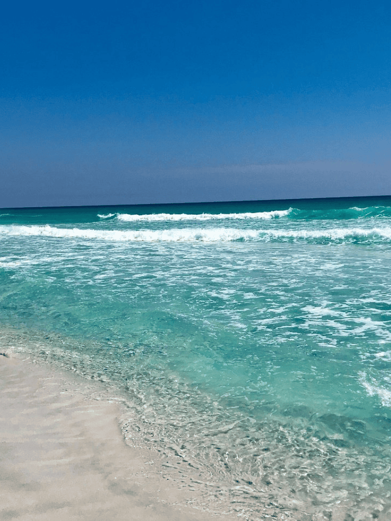 Pristine ocean beach with clear blue water and gentle waves, tropical seaside scenery.