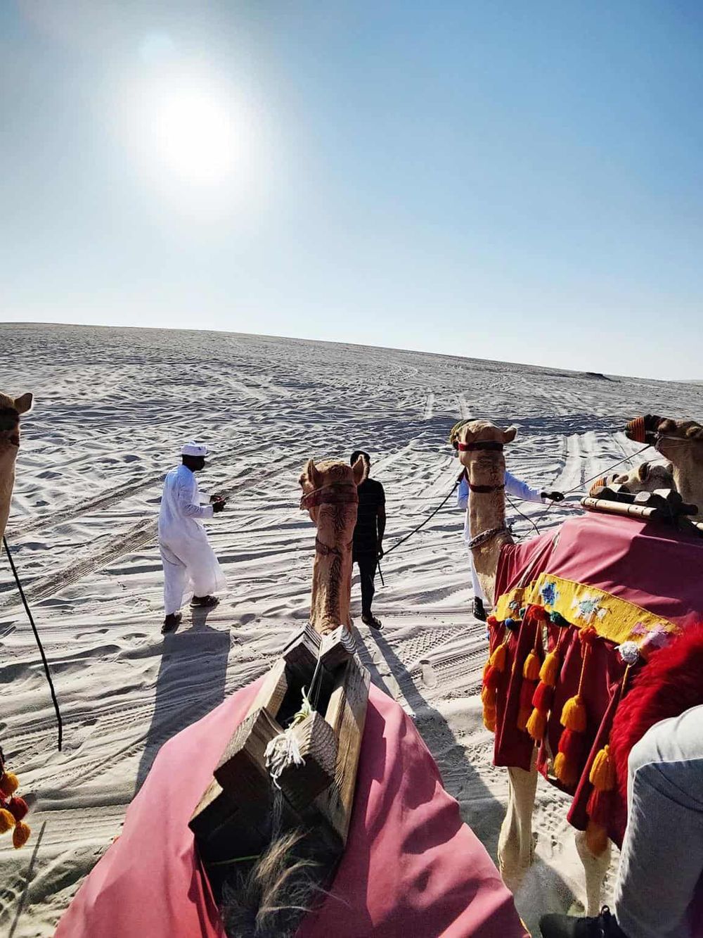 Camel caravan desert adventure with guides in traditional attire, exploring vast sandy dunes under bright sun.