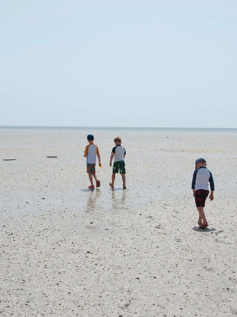 Kids walking on beach with shells and water reflections, sunny day, family vacation scene.