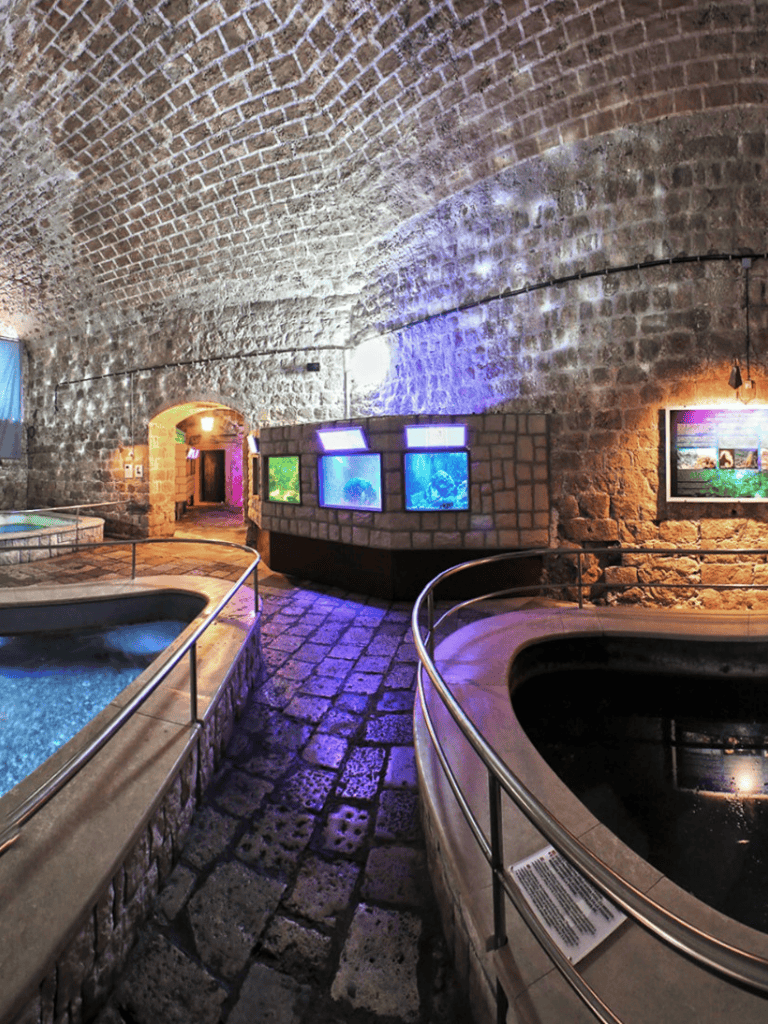 Bright underground aquariums with colorful tanks and stone walls at QuestForDirections.