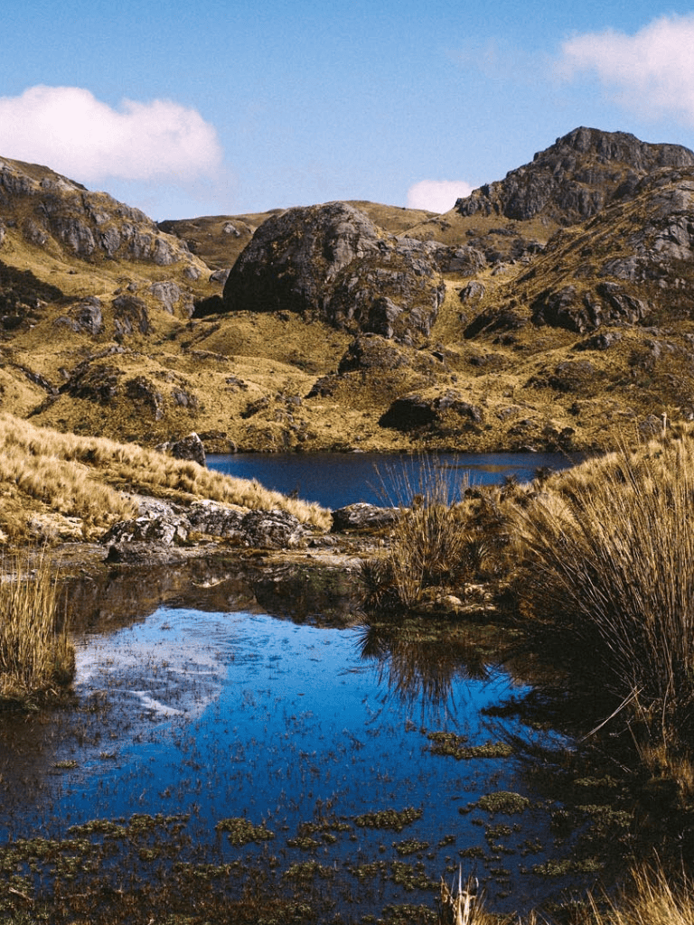 Serene mountain landscape with a lake, rugged rocks, and lush grassy terrain in natural surroundings.