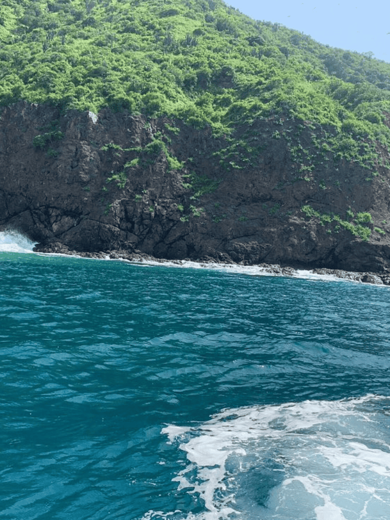 Serene ocean view with lush green cliffs, perfect for exploring nature and travel adventures.