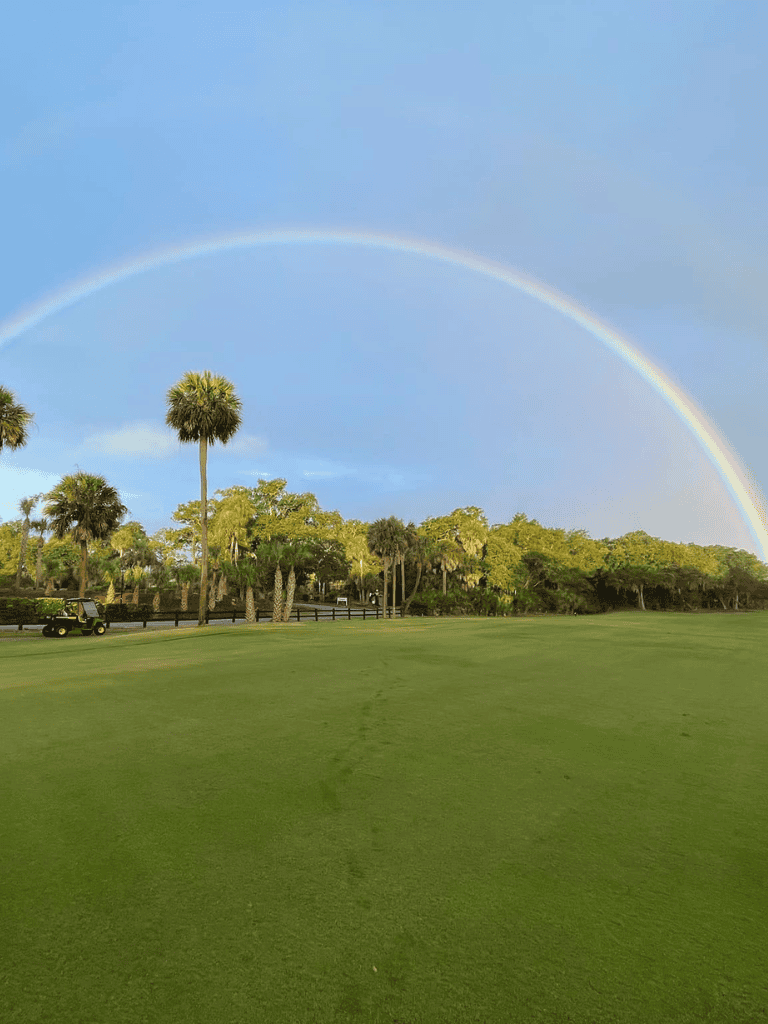 Colorful rainbow over lush green golf course with palm trees and clear sky.