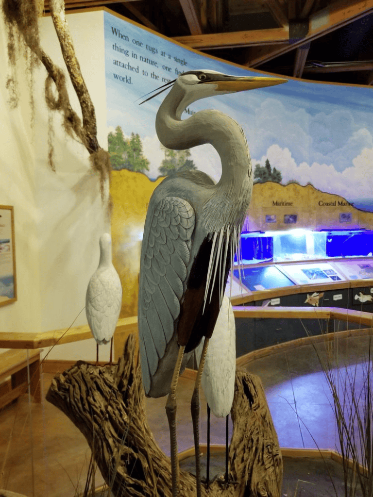 Heron sculpture in a nature-themed museum exhibit, showcasing wildlife and educational displays.