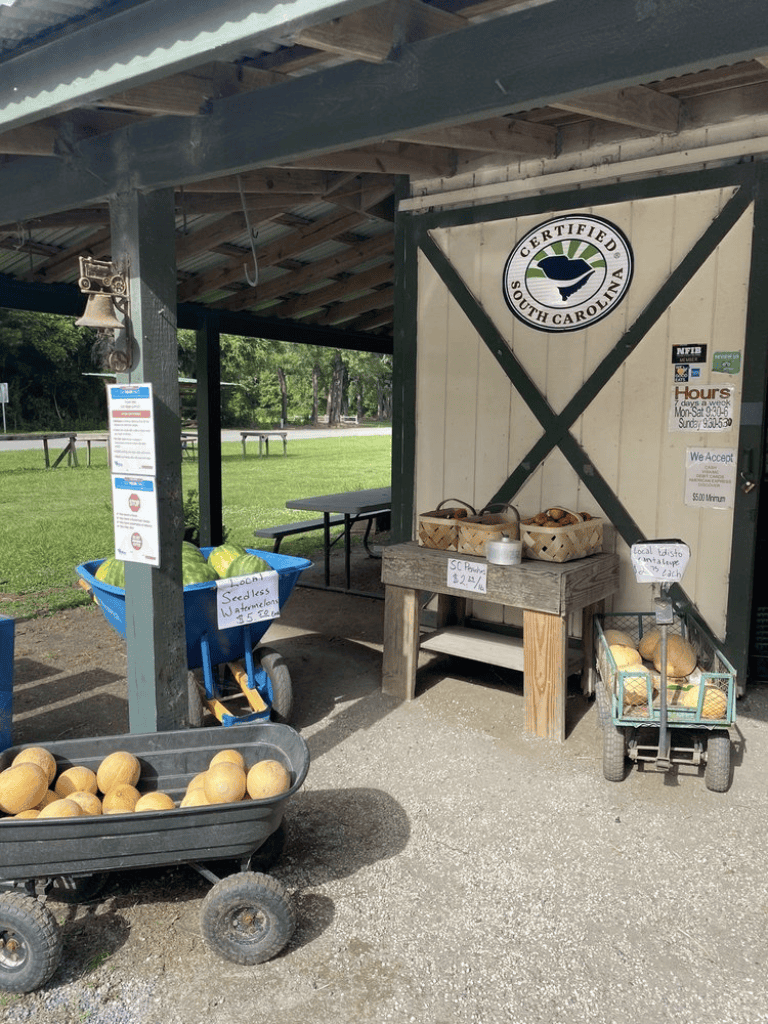 Fresh South Carolina melons at local farm stand, certified organic with affordable prices.